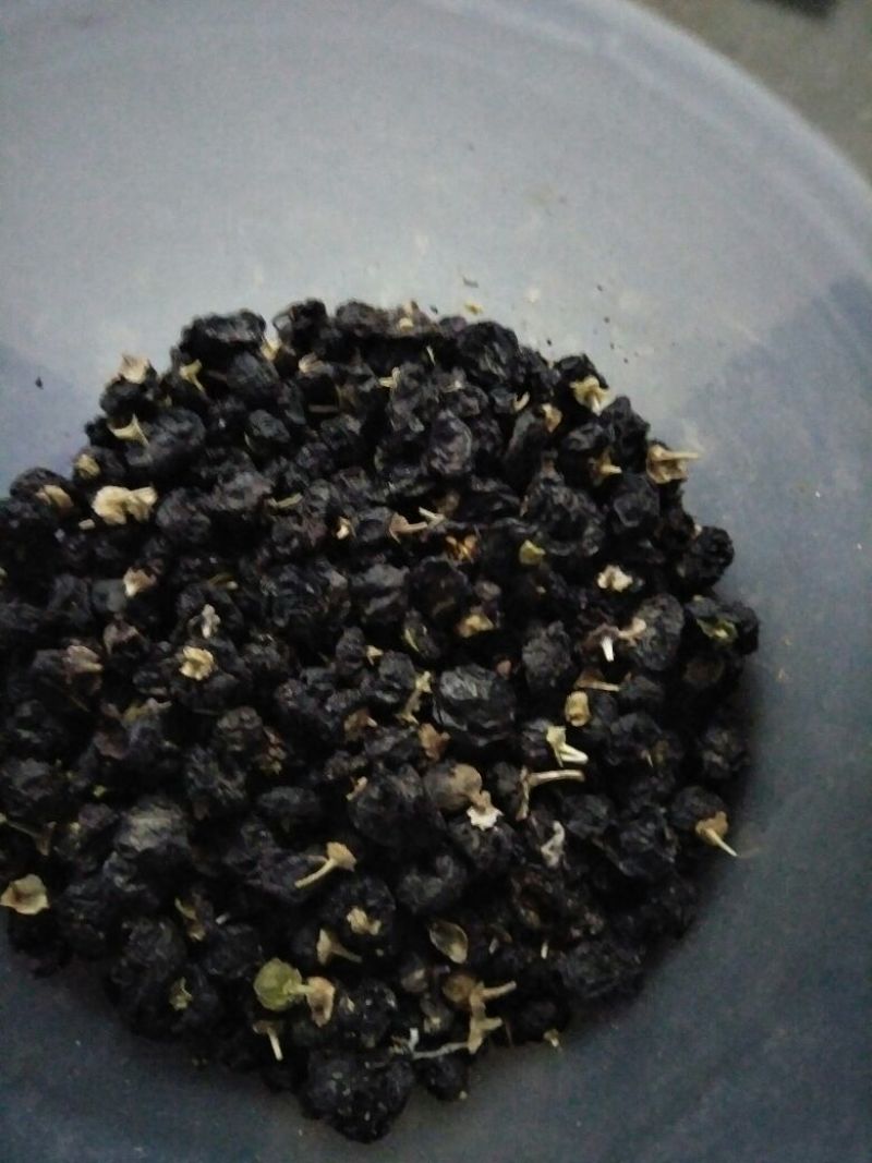 黑枸杞干货二茬