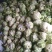 汉中菜花1~3斤乳白紧花个头匀称产地直供一手货