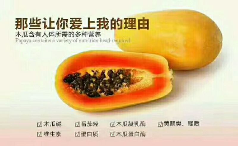木瓜雷州木瓜八斤5个左右