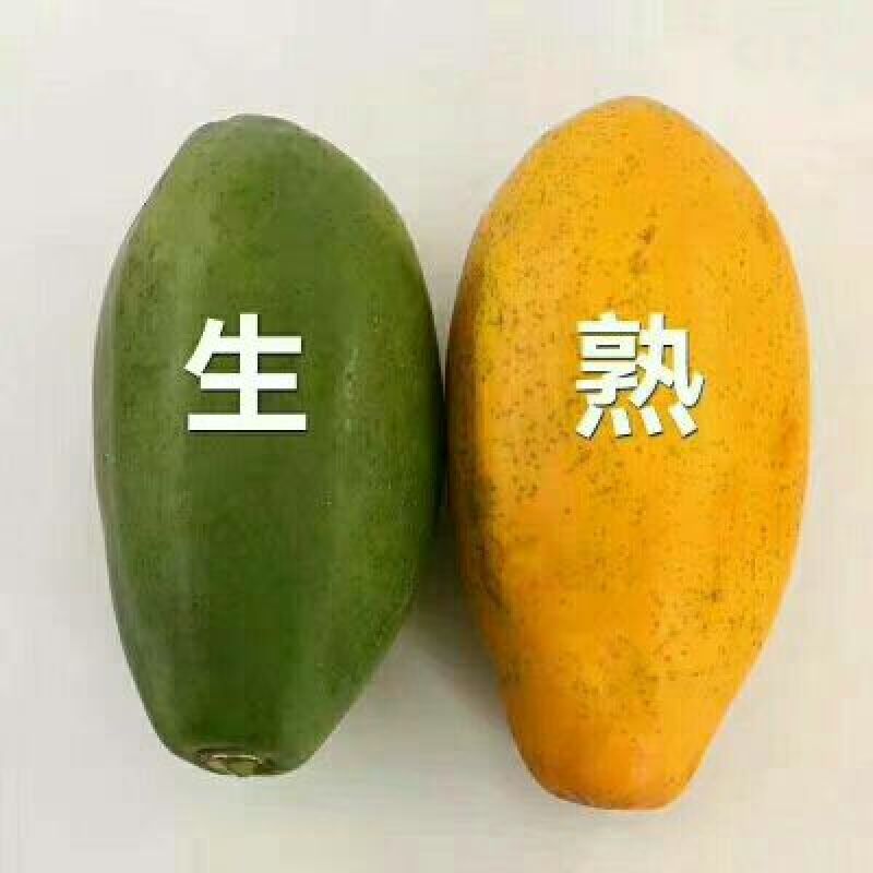 木瓜雷州木瓜八斤5个左右