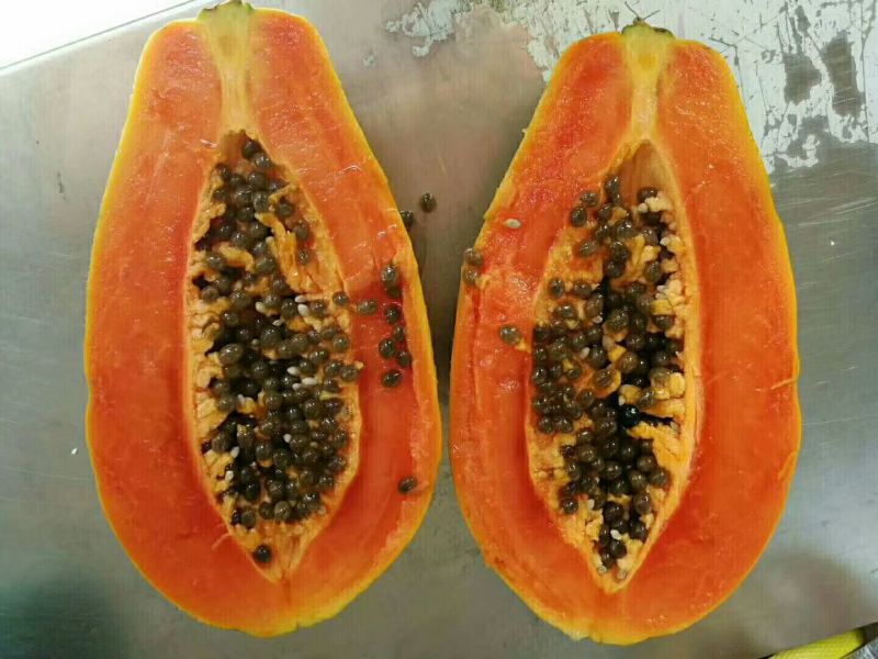 木瓜雷州木瓜八斤5个左右