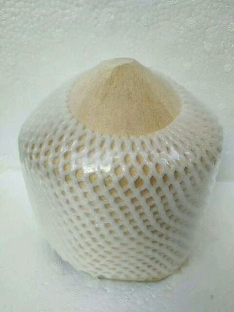 椰子海南椰青九个装