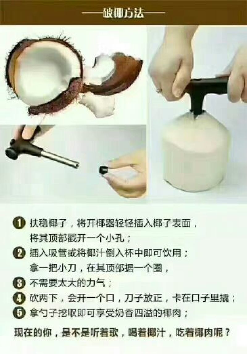 椰子海南椰青九个装
