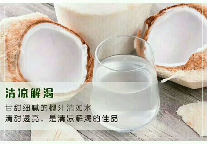 椰子海南椰青九个装