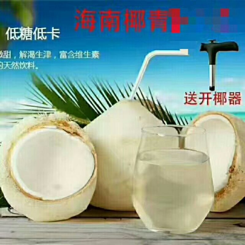 椰子海南椰青九个装
