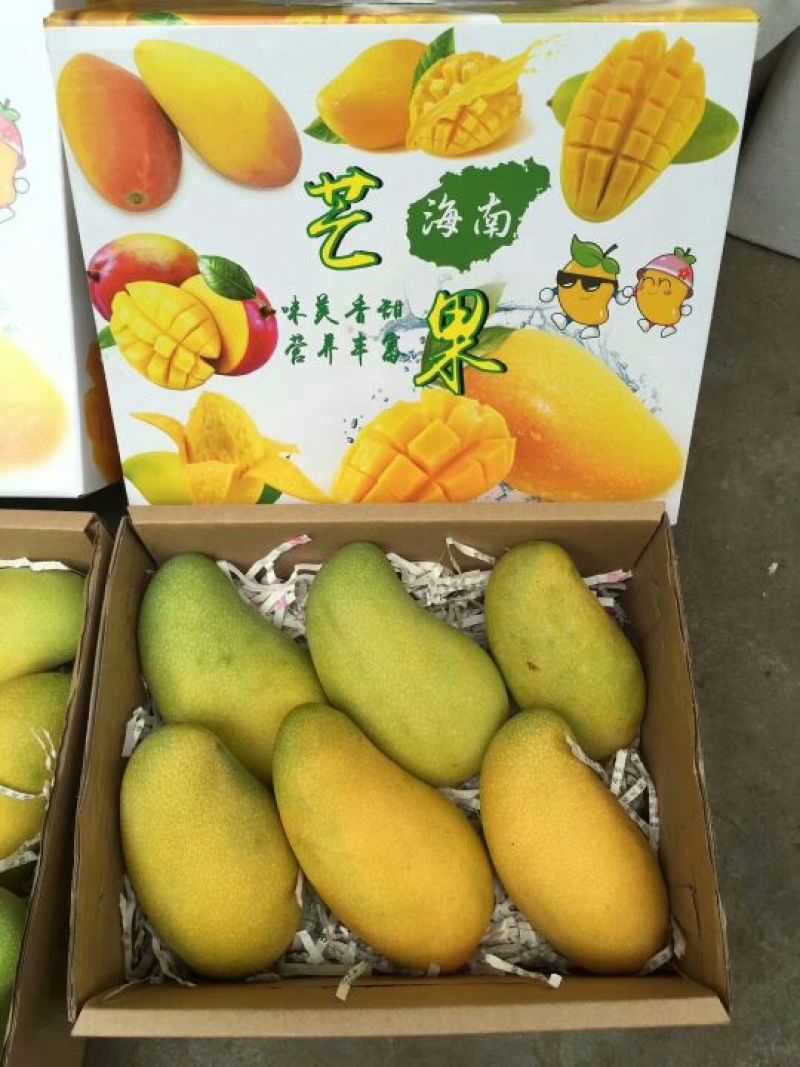 芒果海南金煌芒，一件代发