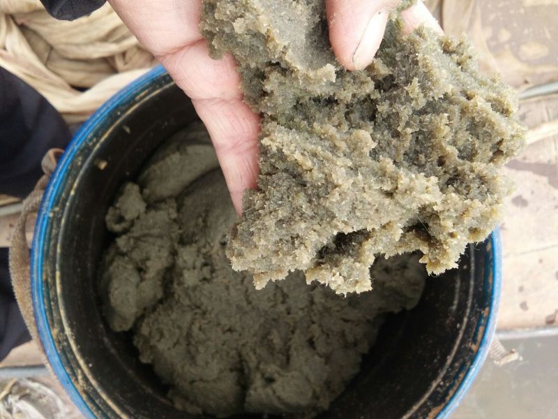 青虫水产养殖业…各种鱼螃蟹苗期饵料