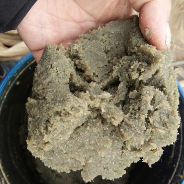 青虫水产养殖业…各种鱼螃蟹苗期饵料