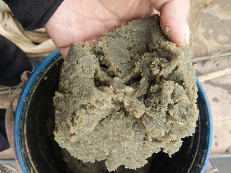 青虫水产养殖业…各种鱼螃蟹苗期饵料
