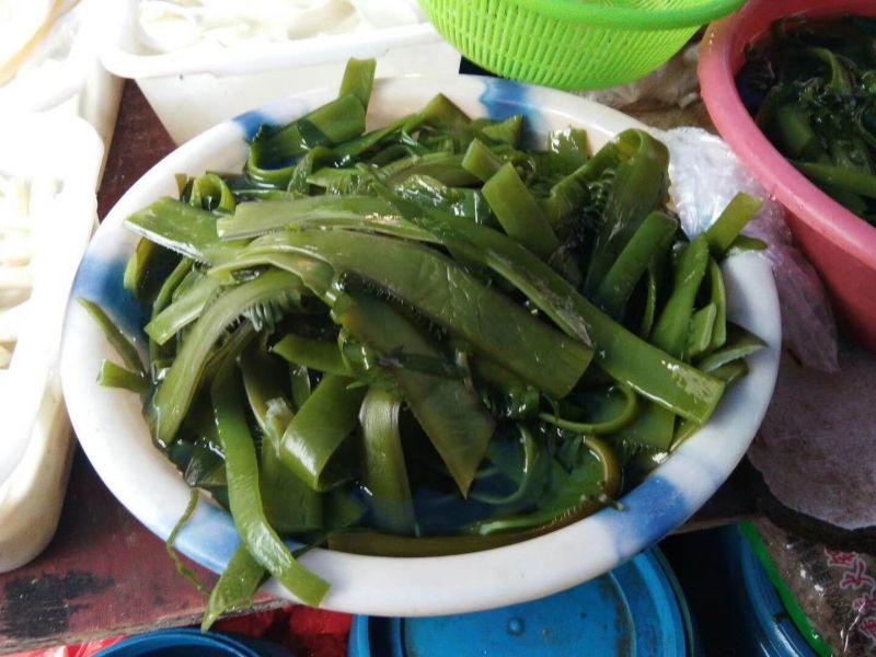 山东海带湿
