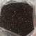 油菜籽(俄罗斯进口)40%