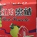 红心柚子苗嫁接2年超大苗