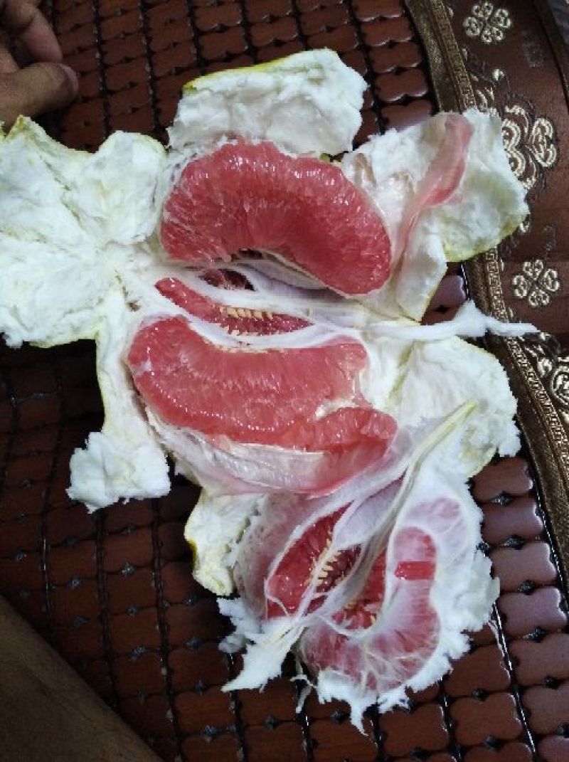 红心柚子苗嫁接2年超大苗