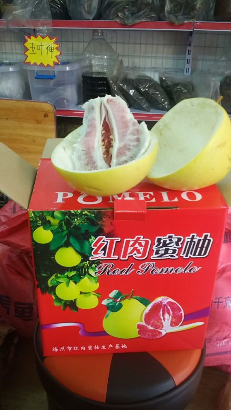 红心柚子苗嫁接2年超大苗