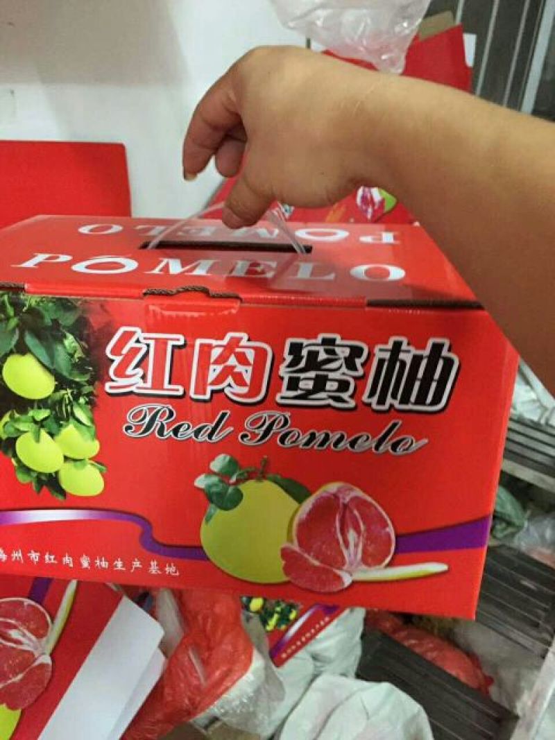 红心柚子苗嫁接2年超大苗