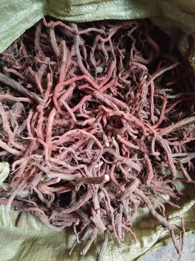 丹参，杂质少，货干，含量高，颜色红