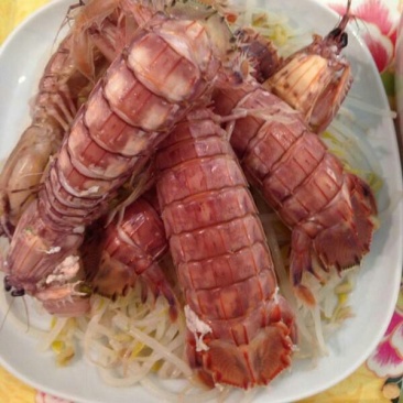 皮皮虾冻虾