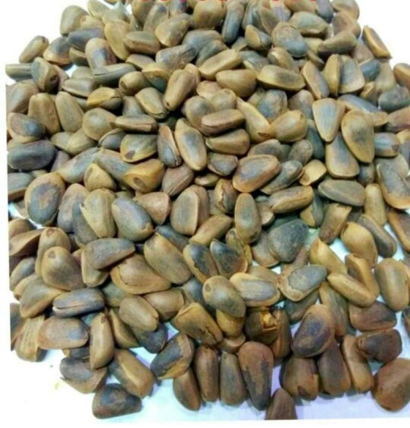 东北松子质量好，口感佳，籽粒饱满，5斤包邮