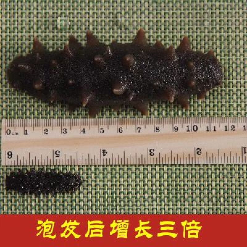 海刺参食用淡干
