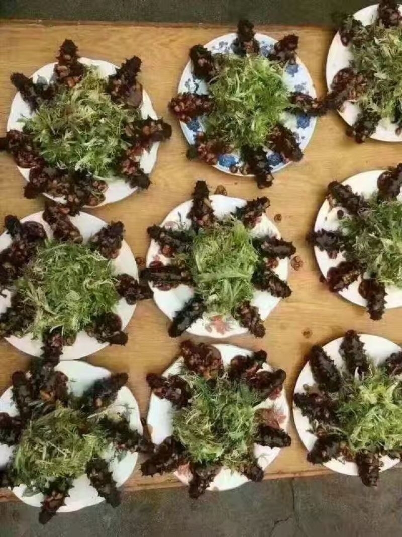 海刺参食用淡干