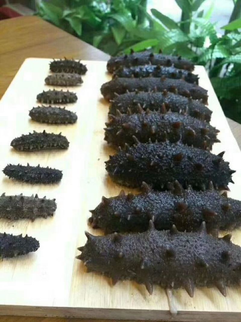 海刺参食用淡干