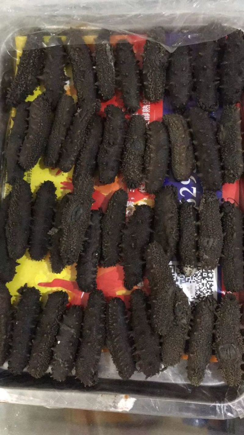 海刺参食用淡干