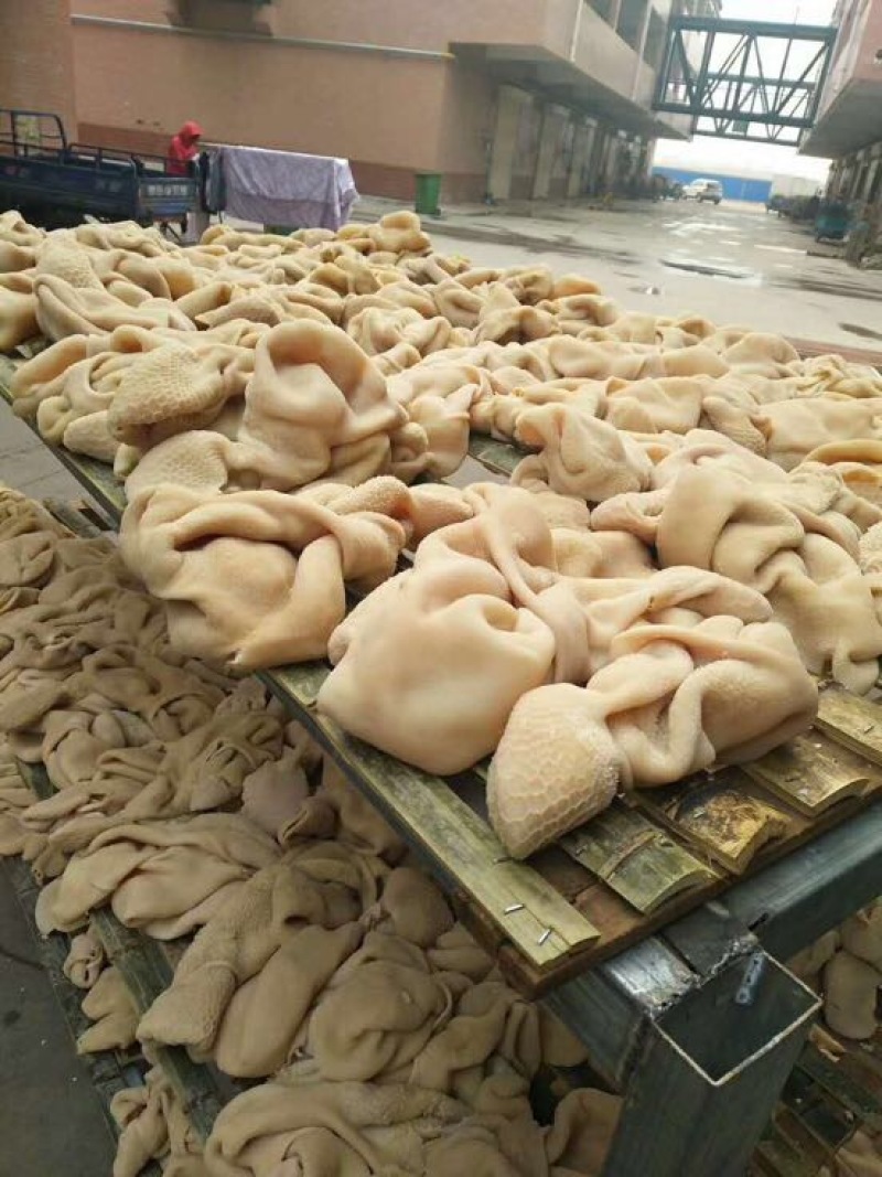 精品羊肚一箱20斤五斤一包常年加工质量保证