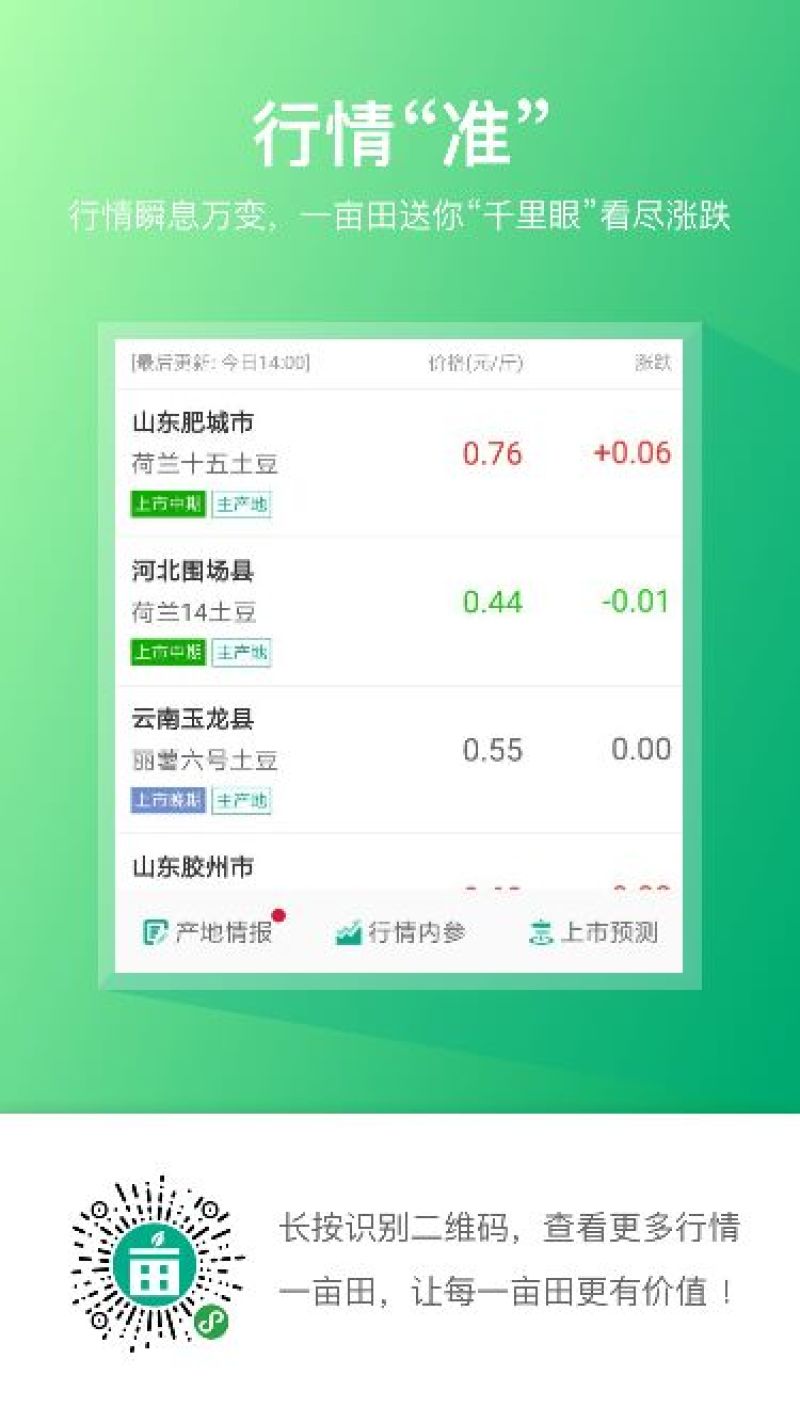 覆盆子