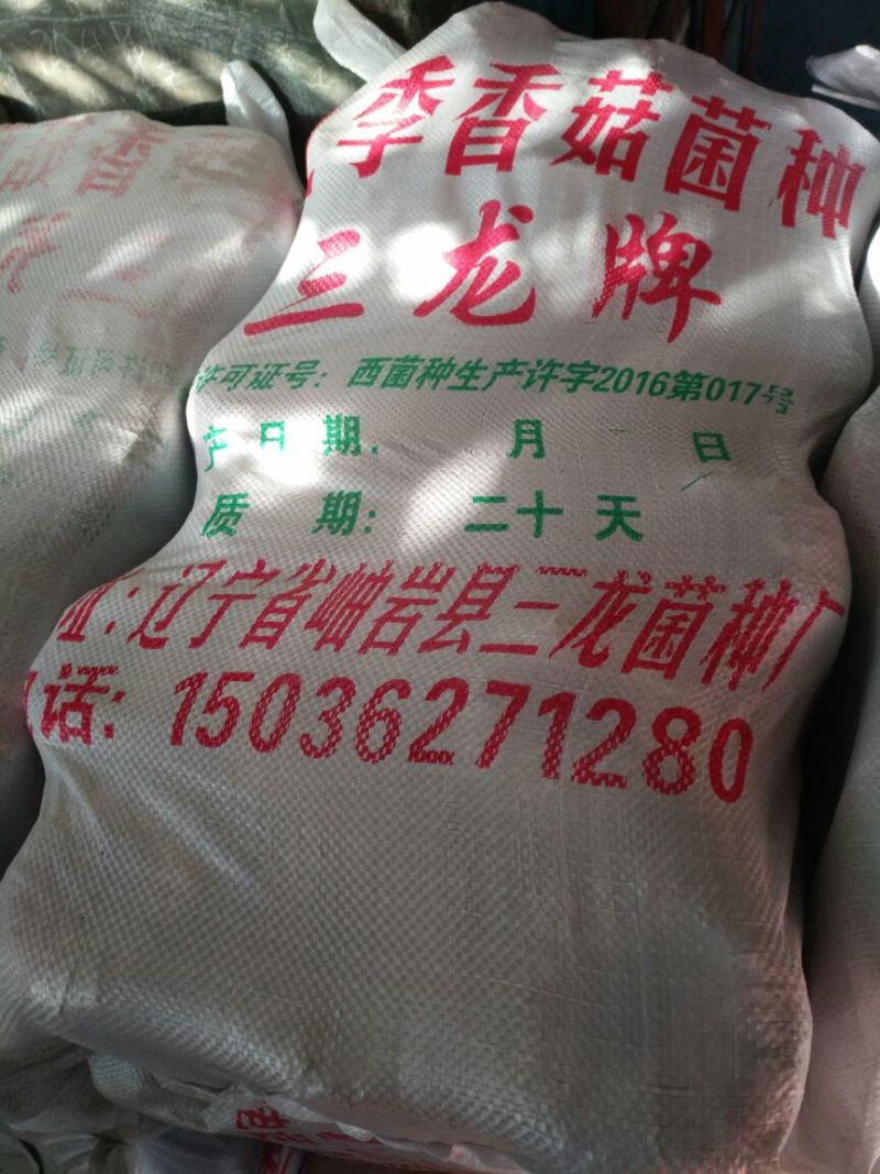 香菇菌种栽培种