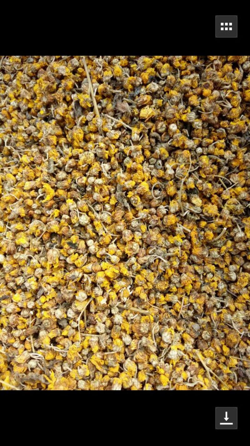 野菊花袋装