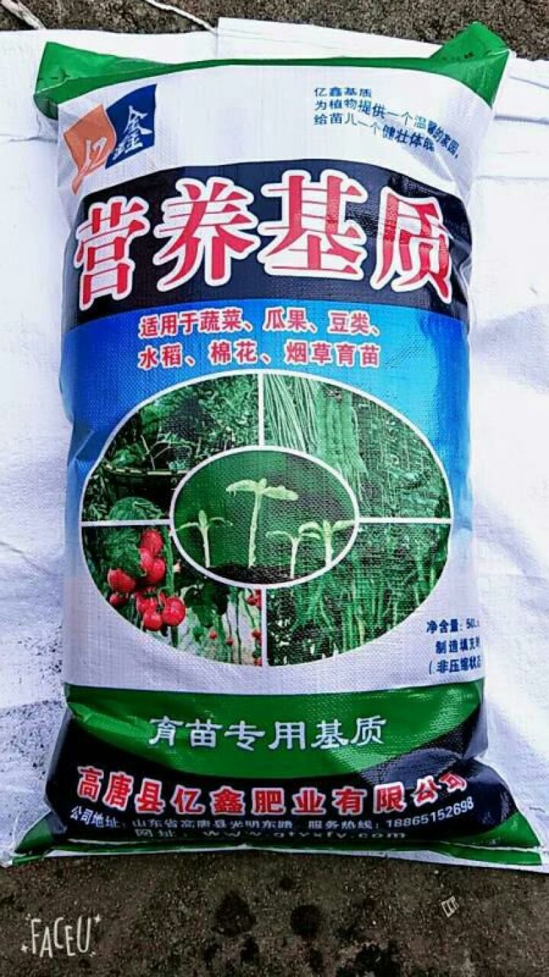 基质