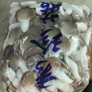 秀珍菇一级