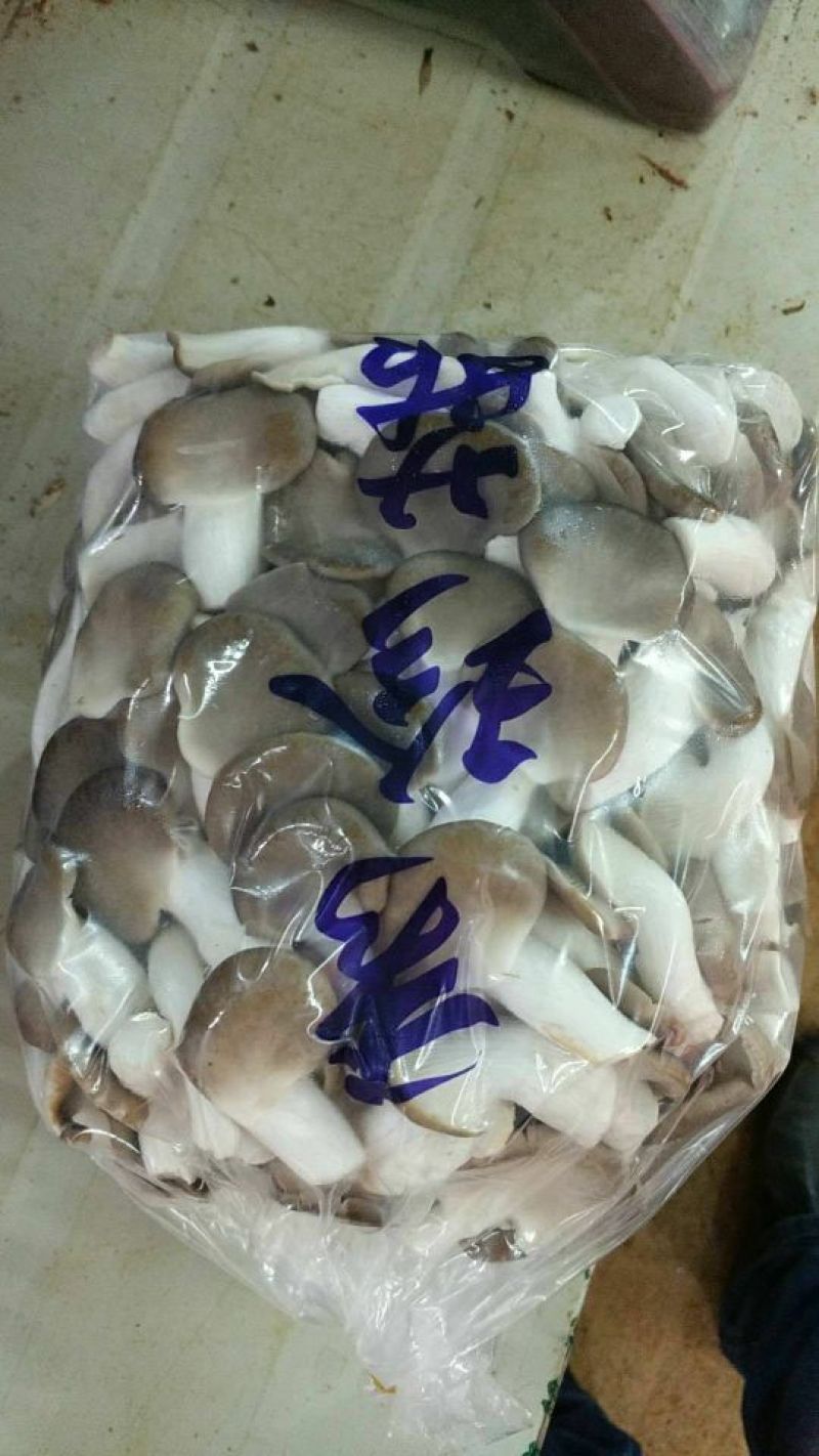 秀珍菇一级