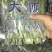 豌豆芽苗菜地栽苗