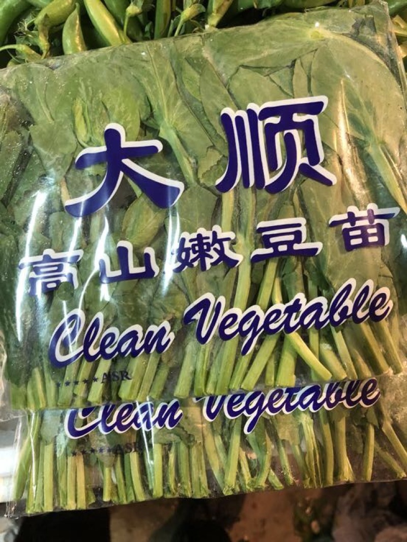 豌豆芽苗菜地栽苗