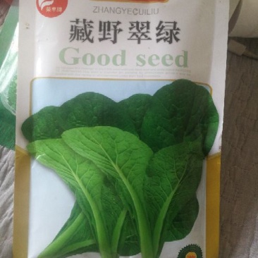 白菜种子