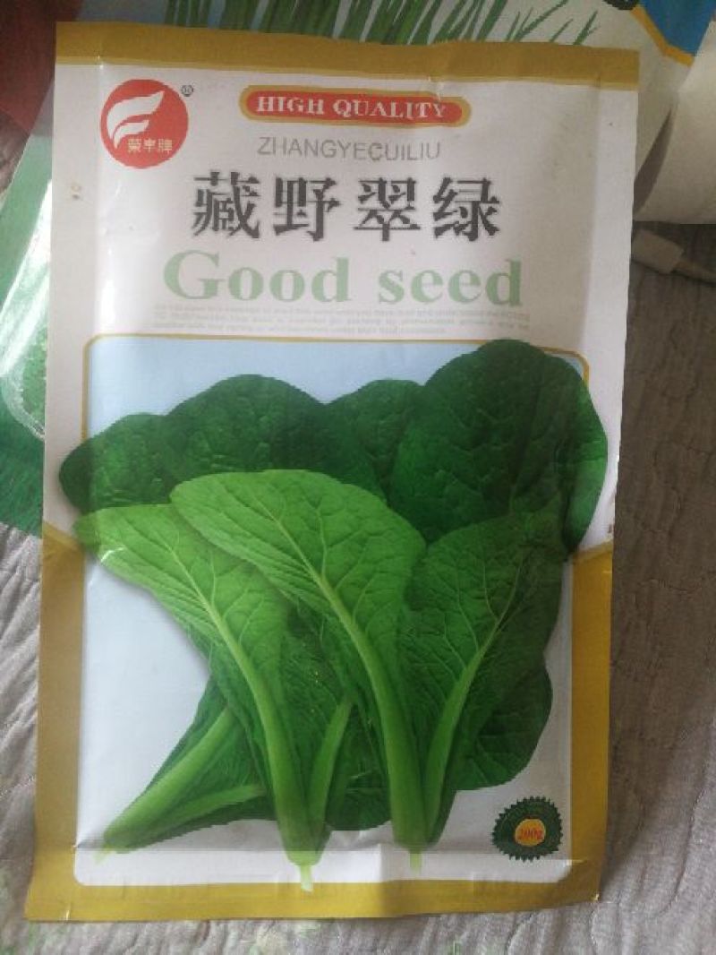 白菜种子