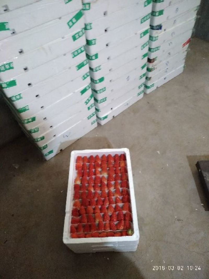 甜宝草莓30~40克