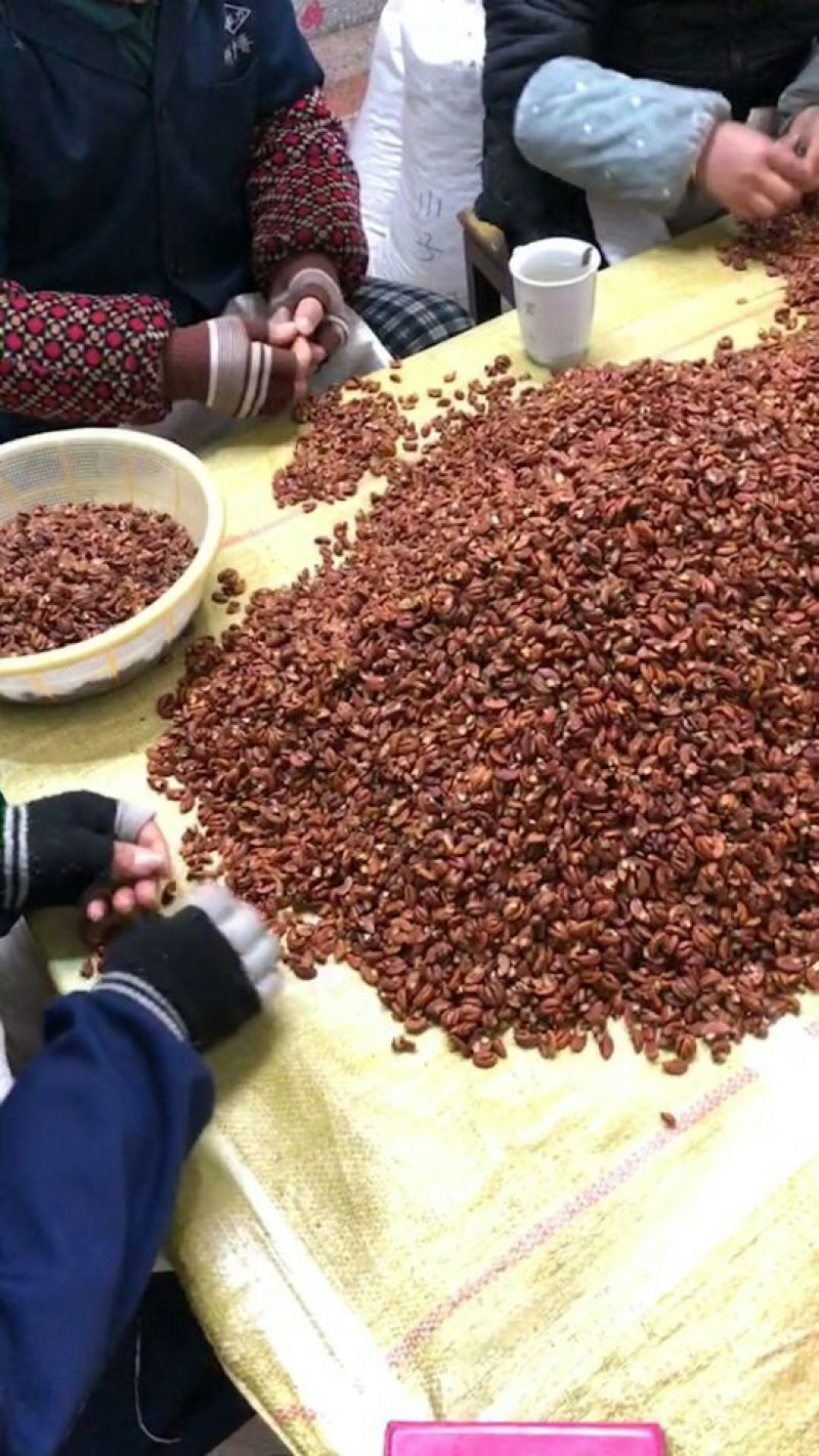 核桃仁奶油口味椒盐原味的小核桃山核桃仁