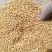小麦12.5%以上