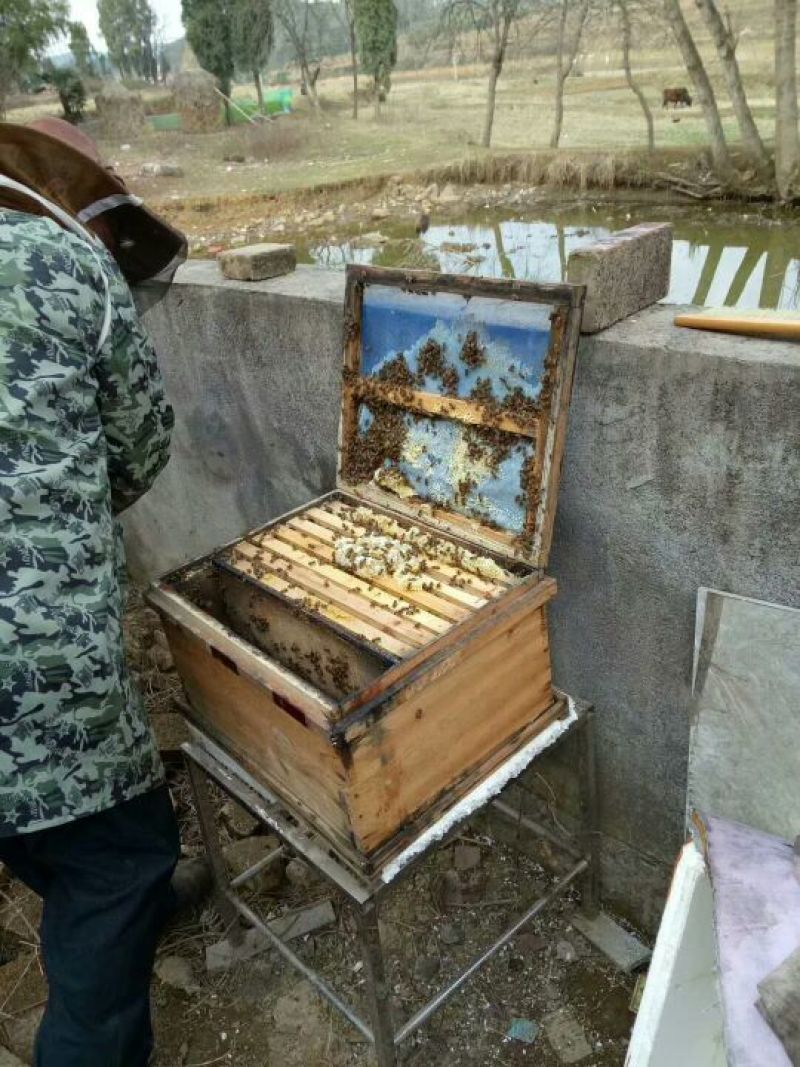 蜂蜜2斤