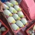金煌芒4两以上，鲜优果蜀供应链