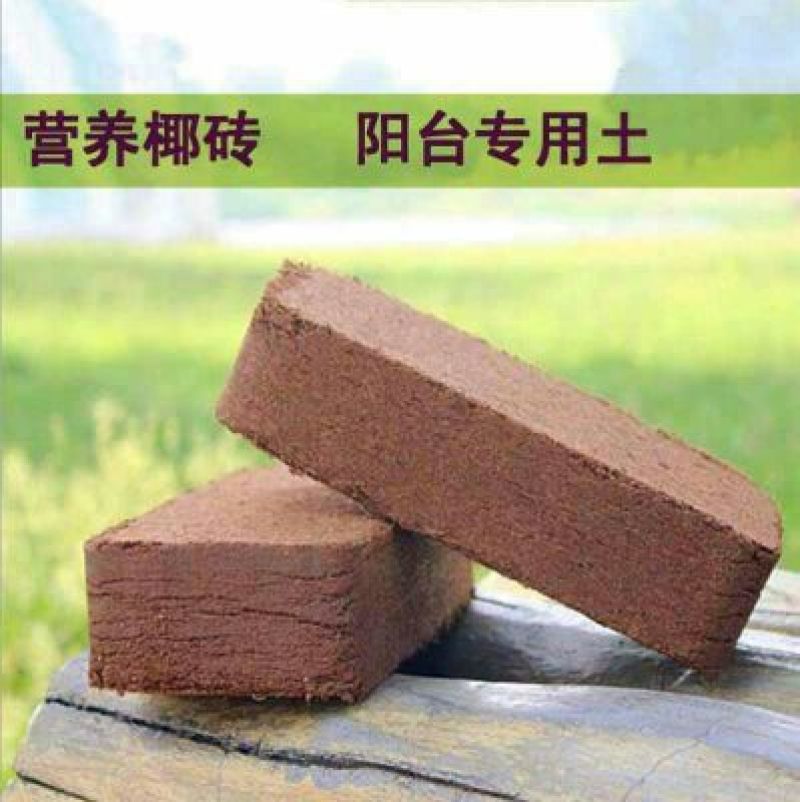 营养土
