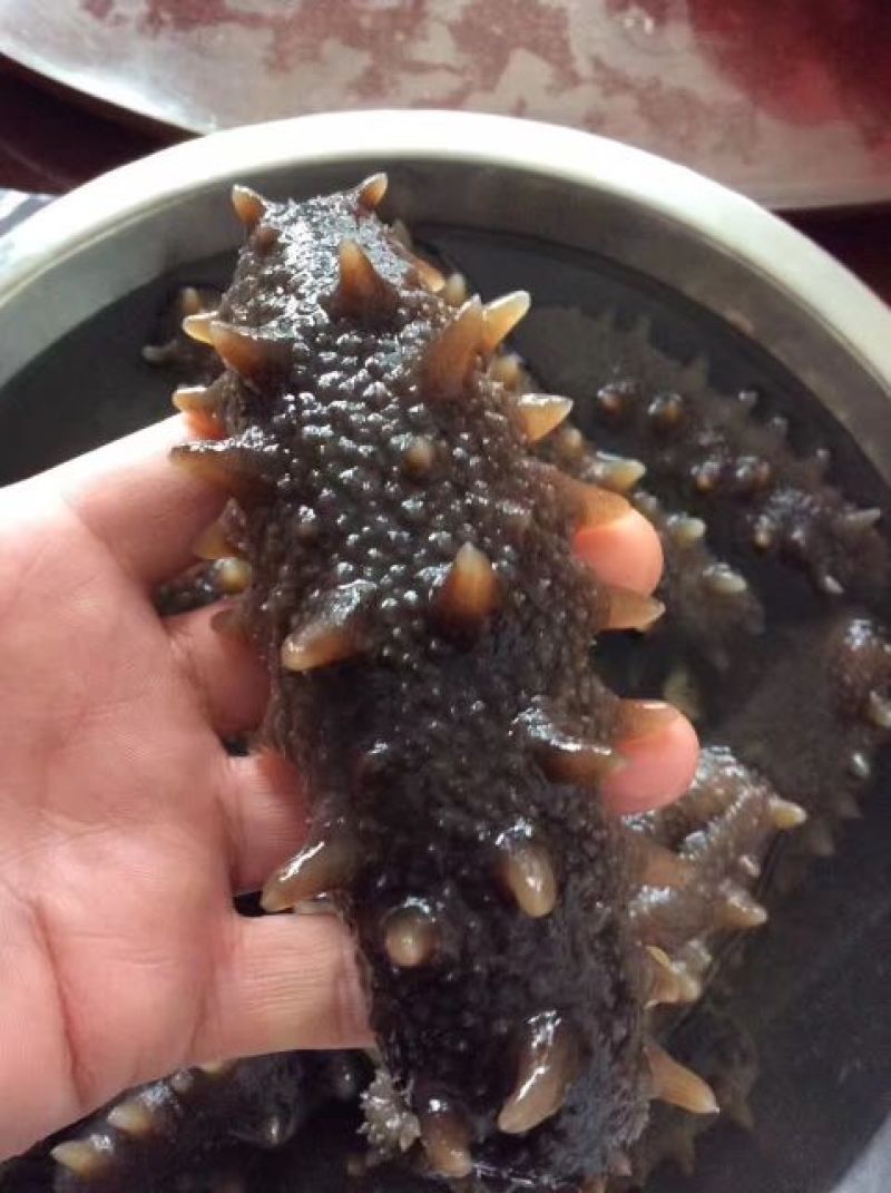 海刺参食用即食