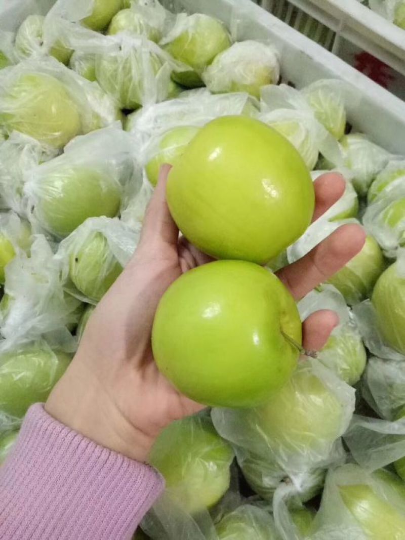 台湾贵妃枣，脆蜜枣5斤装
