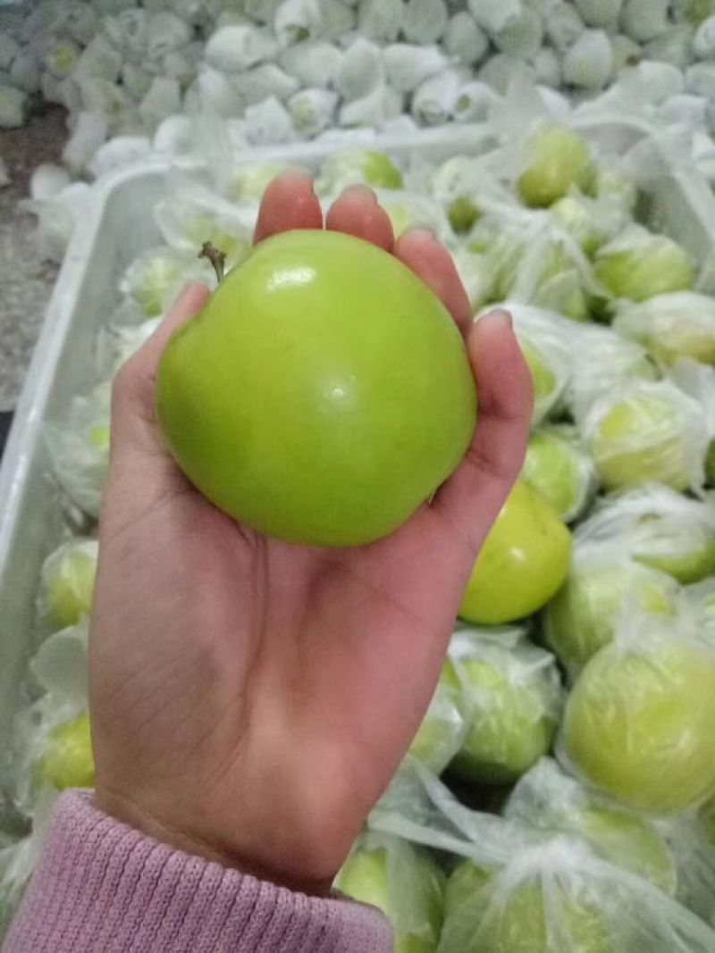 台湾贵妃枣，脆蜜枣5斤装