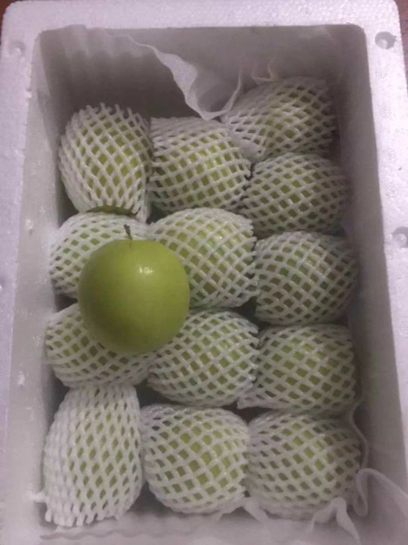 台湾贵妃枣，脆蜜枣5斤装