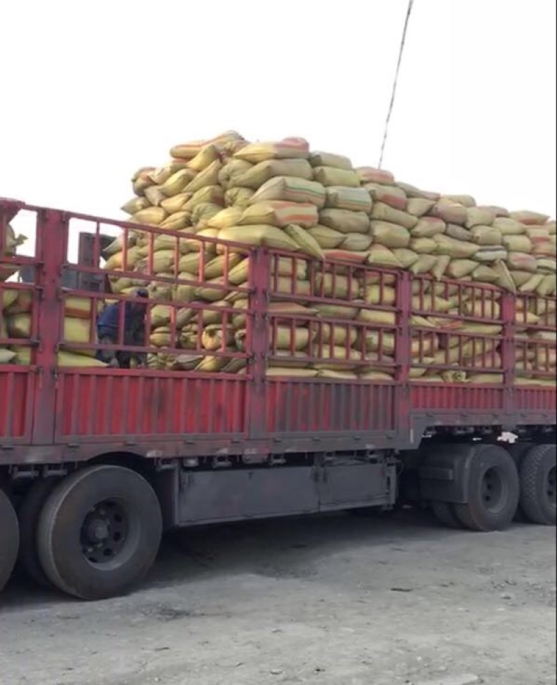 草原干羊粪纯羊粪，全国批发。优质有机肥原料，干羊粪