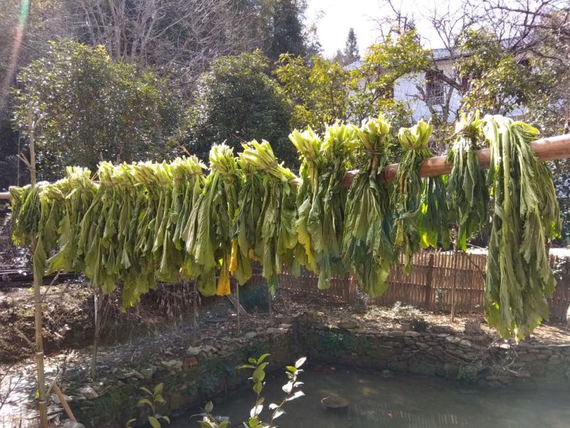 梅干菜农家地里种的雪里蕻腌制纯手工，无添加安全妈妈做的
