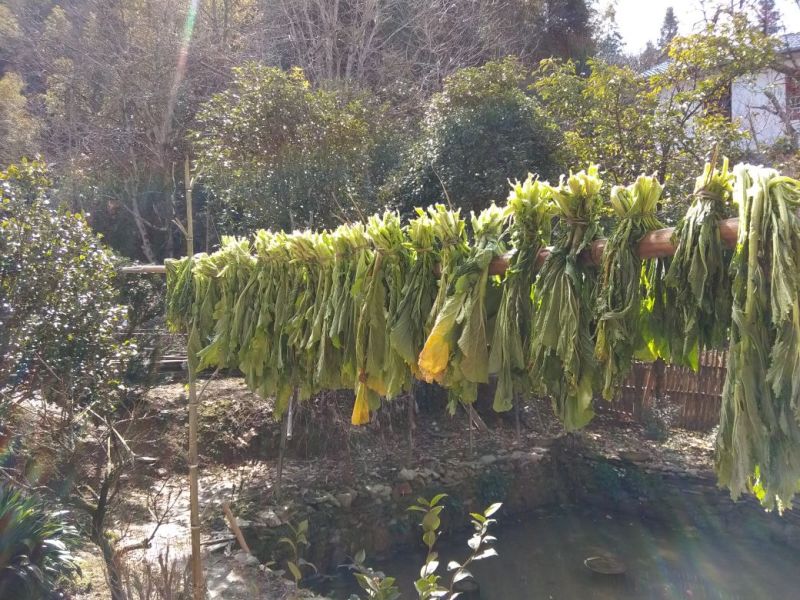 梅干菜农家地里种的雪里蕻腌制纯手工，无添加安全妈妈做的